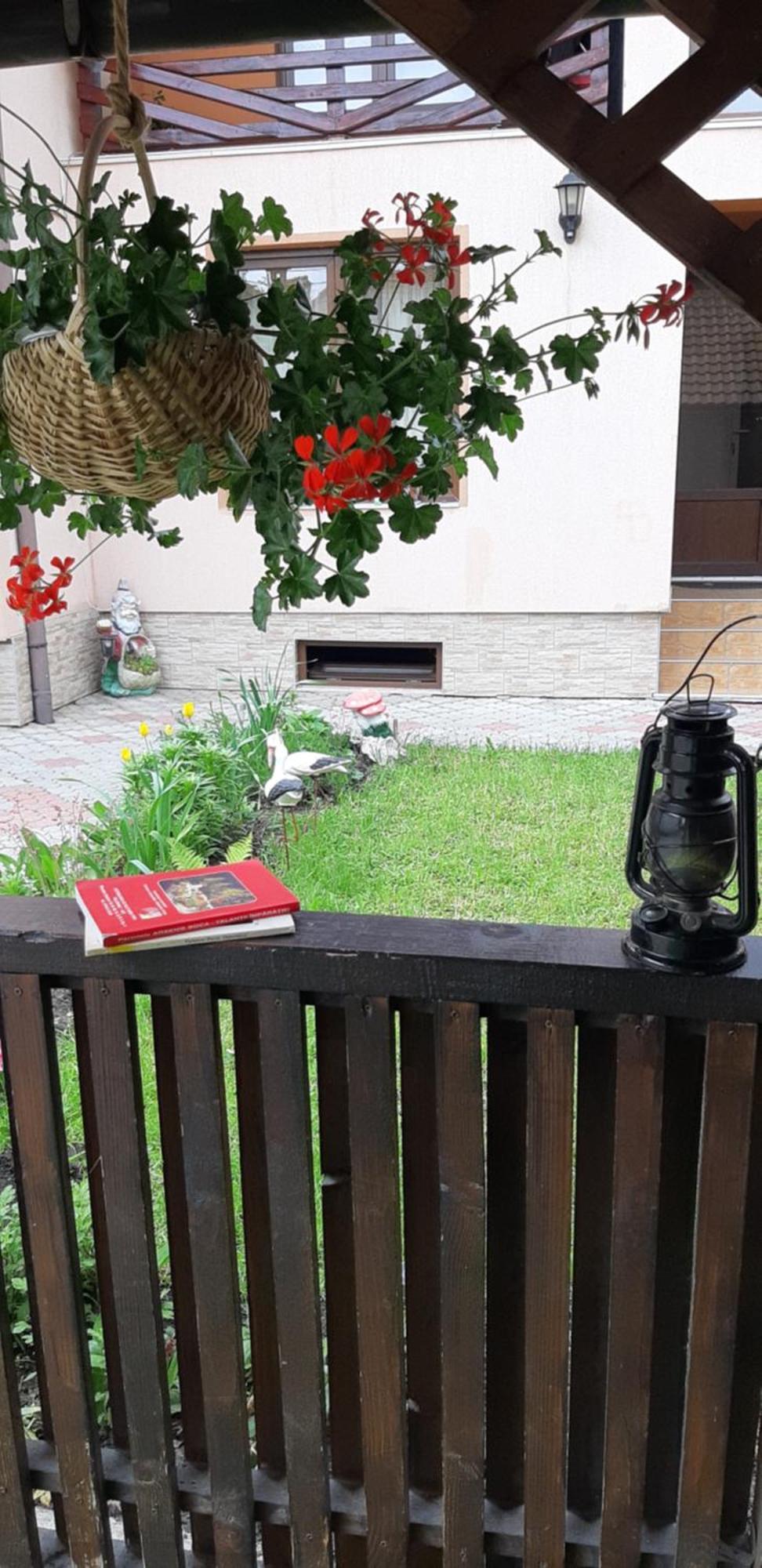 Casa Nicoladis Apartment Zarnesti Bilik gambar